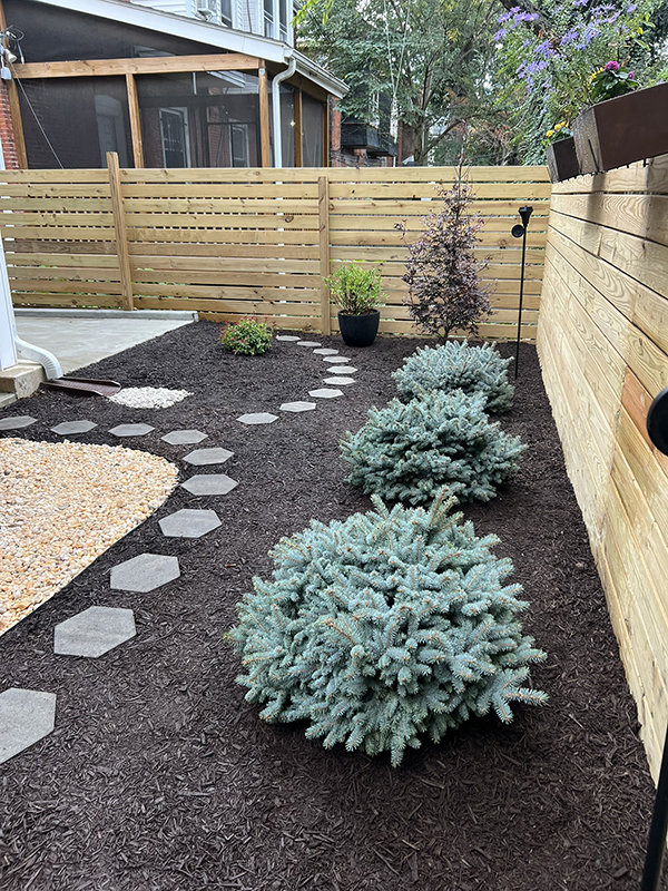 West Philly modern minimal landscaping