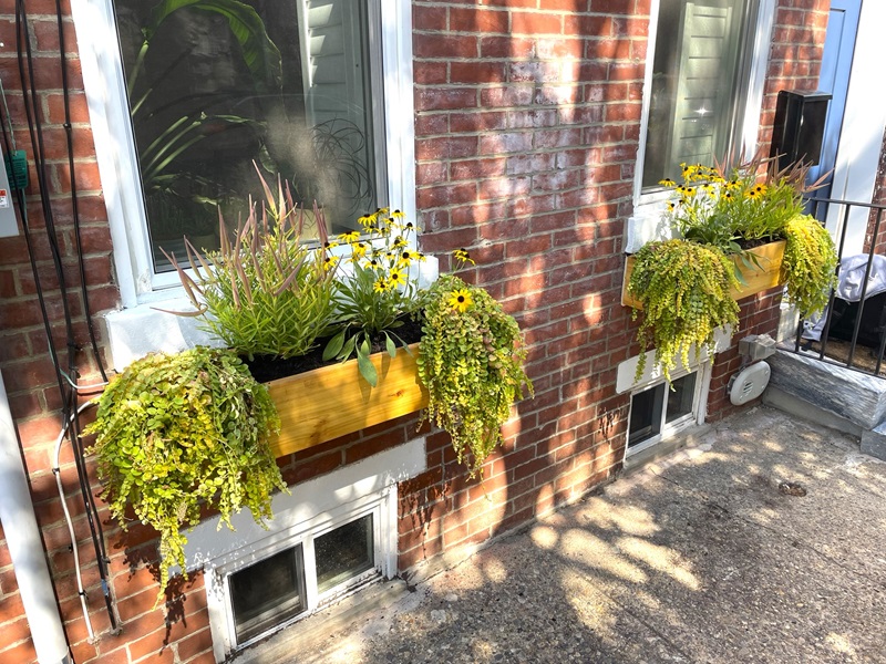 Fishtown window box