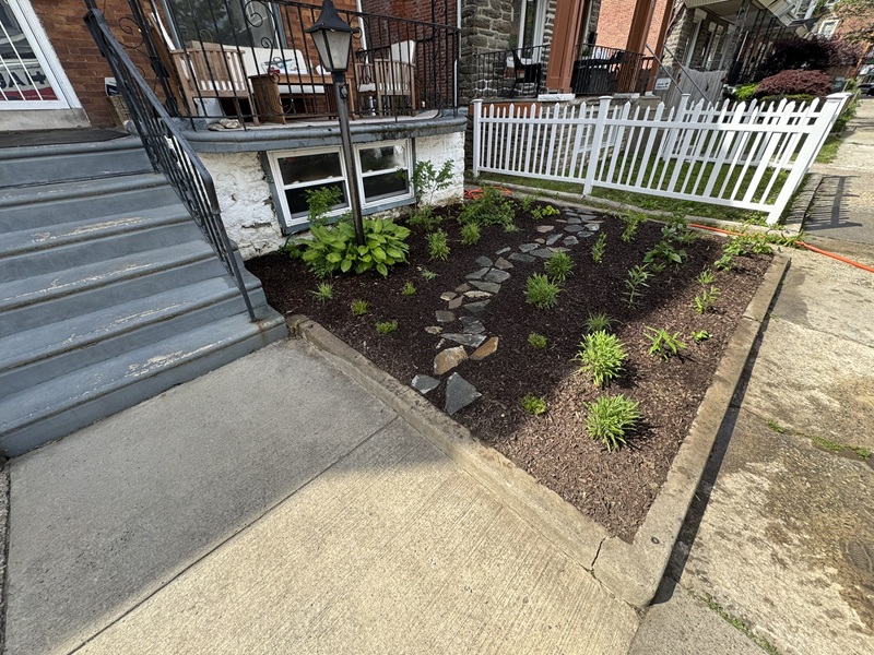 Native front yard in Germantown.